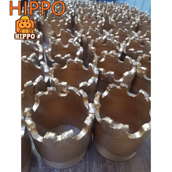 92 mm 112 mm 132 mm 1004 1005 Cortadores PDC Inserte piezas PDC Core Bits para perforar